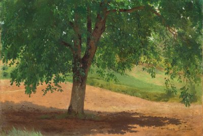 Studie von Licht und Schatten von Rosa Bonheur