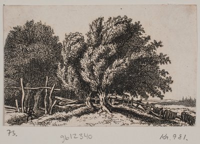 Landschaft von Rosalie Holm