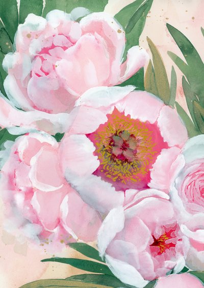 Rosa Pfingstrosenblüten von Rosana Laiz Blursbyai