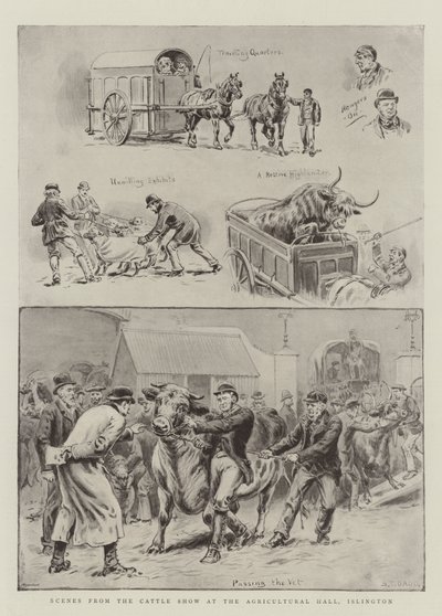 Szenen von der Viehschau in der Agricultural Hall, Islington von S.T. Dadd