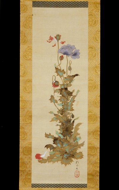 Mohnblumen von Sakai Hoitsu