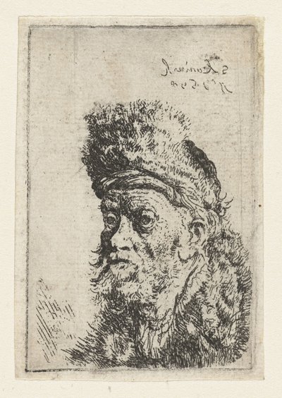 Büste eines Mannes mit Pelzmütze von Salomon Koninck