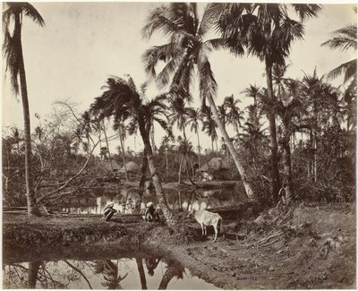 Dorfansicht in Bengalen, Indien von Samuel Bourne (signed by artist)