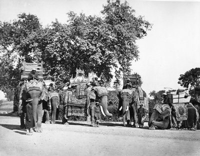 Eine Gruppe von Elefanten des Vizekönigs und ihre Staatstrappings, ca. 1860er Jahre von Samuel Bourne