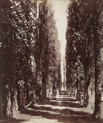  von Samuel Bourne