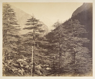 Schneebedeckte Gipfel in der Nähe von Gangootri von Bhairamghati. Fotograf: Bourne, Samuel Album mit Fotografien von Indien, hauptsächlich von Samuel Bourne 1866 von Samuel Bourne