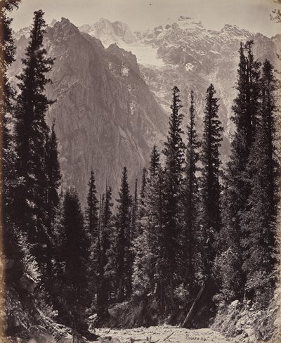  von Samuel Bourne