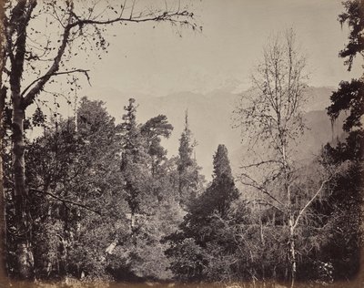  von Samuel Bourne