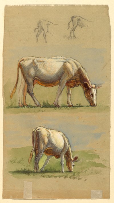 Vieh, zwei grasende Kühe und die Rücken von Kälbern von Samuel Colman