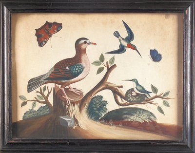 Grünflügelige Taube mit Rotkehlkolibris, Pfauenfalter und Ultramarin-Schmetterling von Samuel Dixon