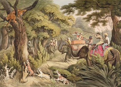 Leopardenjagd, aus Oriental Field Sports, veröffentlicht von Edward Orme, 1807 von Samuel Howett