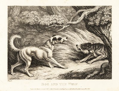 Ein Haushund in einem Halsband bietet einem verhungernden Wolf Futter an. 1811 von Samuel Howitt