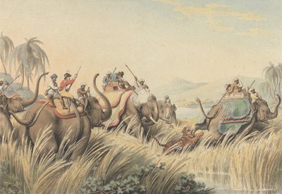Der Tiger in der Enge: eine Illustration für Captain Thomas Williamsons "Oriental Field Sports" von Samuel Howitt