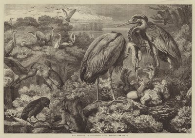 Die Reiherkolonie im Didlington Park, Norfolk von Samuel John Carter