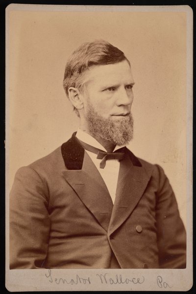 Porträt von William Andrew Wallace 1827-1896, zwischen 1876 und 1880 von Samuel Montague Fassett