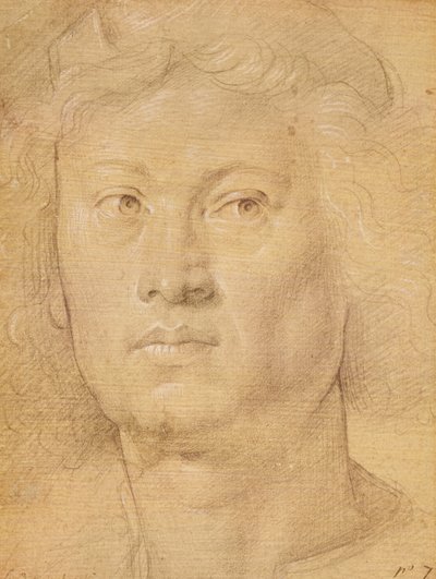 Kopf eines Engels von Sandro Botticelli
