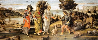Das Urteil des Paris von Sandro Botticelli and workshop