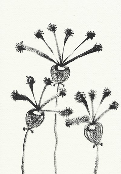 Minimalistische Botanische Zeichnung von Santhosh ch