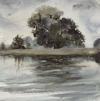 Neblige Baumreflexionen von Santhosh ch