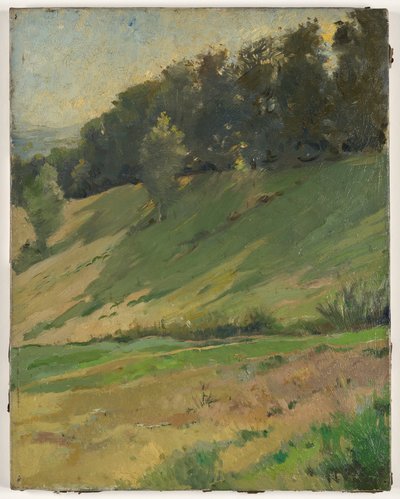 Blick von Llandrindod Wells: The Upper Link, um 1900 von Sarah Paxton Ball Dodson