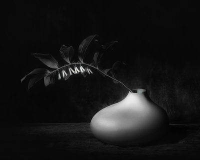 Dunkles Botanisches Stillleben von Saskia Dingemans