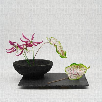 Elegante botanische Anordnung von Saskia Dingemans