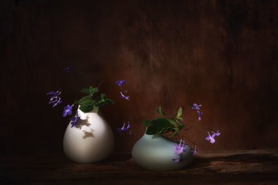 Schwebende violette Blüten von Saskia Dingemans