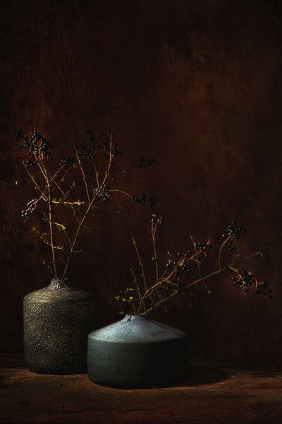 Stimmungsvolle botanische Vasen von Saskia Dingemans