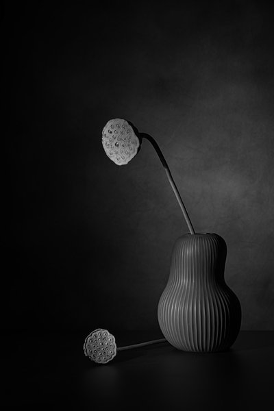 Ruhiges Lotus-Stillleben von Saskia Dingemans
