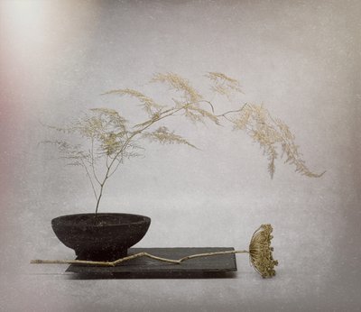 Serene getrocknete Botanik von Saskia Dingemans