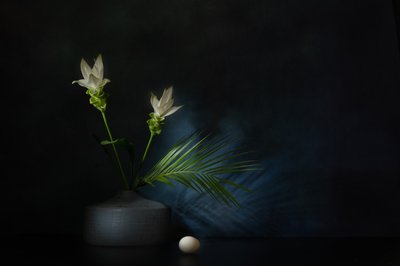Weiße Blumen Dunkles Stillleben von Saskia Dingemans
