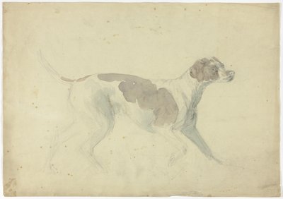 Fuchshund (recto); Skizzen von Pferd und Reiter (verso) von Sawrey Gilpin
