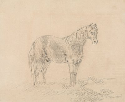 Männliches Pferd von Sawrey Gilpin