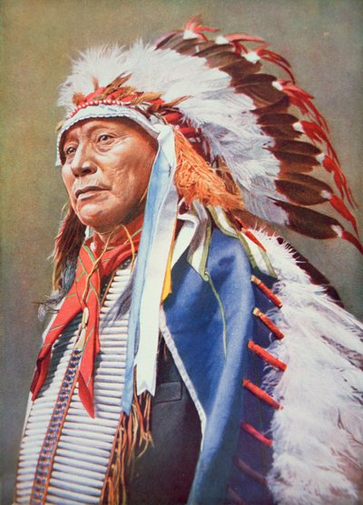 Häuptling Hollow Horn Bear (1850-1913) von School American