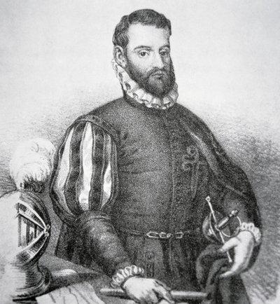 Pedro Menendez de Aviles von School American