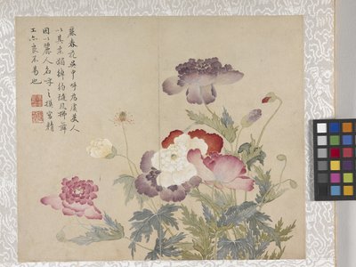 8-Blatt-Album von Blumen, Mitte 1700er von School Chinese