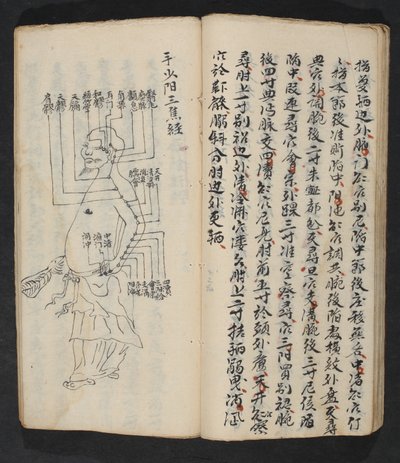 Akupunkturpunkte am Arm, Nacken und am Kopfansatz, aus Jing Guan Qi Zhi, 