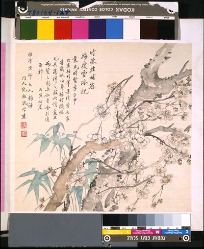 Album von Blumen und Vögeln, Datum unbekannt (Tinte und Farbe auf Seide) von School Chinese