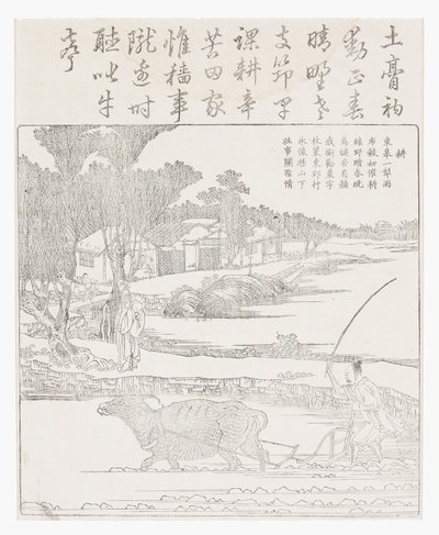 Pflügen mit einem Wasserbüffel im schlammigen Reisfeld von School Chinese