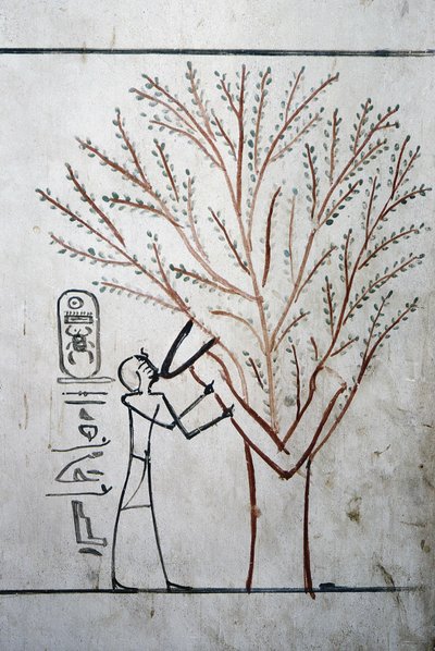 Luxor, Theben: Tal der Könige, Grab von Thutmosis III (-1504 - -1450), Pharao von Ägypten von School Egyptian