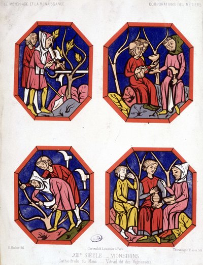 Zunft der Winzer - Glasmalerei der Winzer der Kathedrale von Le Mans von School French