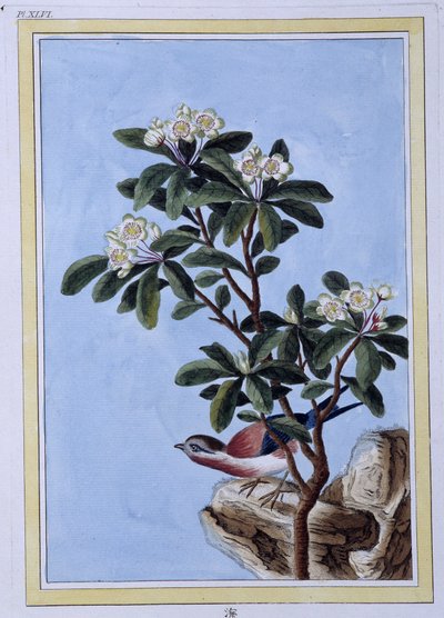 Vogel - Japanischer Druck von Japanese School