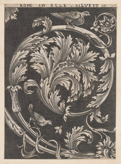 Speculum Romanae Magnificentiae: Ornamentales Laubwerk aus Kirchen von School of Raphael