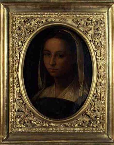 Porträt eines Mädchens von Sebastiano del (c.1485 1547) Piombo