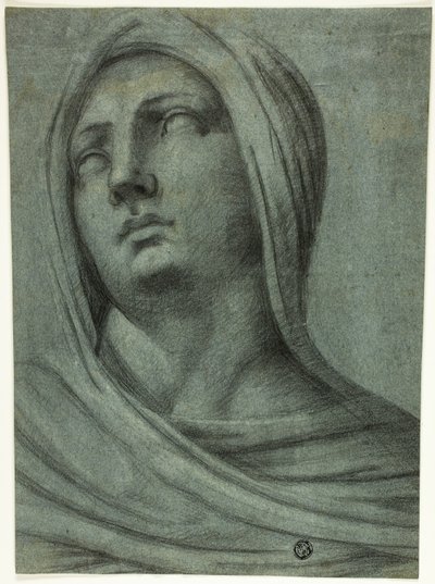 Kopf und Schultern einer verschleierten Frau von Sebastiano del Piombo