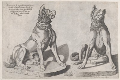 Speculum Romanae Magnificentiae: Zwei Hunde von Sebastiano di Re