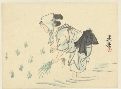 Reis pflanzende Frau von Shibata Zeshin