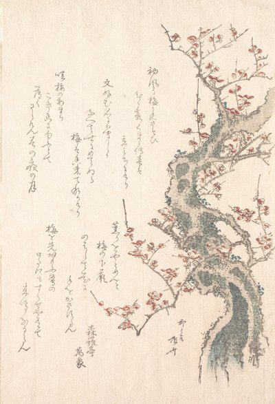 Sammlung Frühlingsregen Harusame shu, Bd. 1: Blühender Pflaumenbaum, ca. 1805-10 von Shinsai
