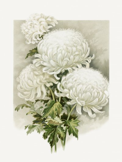 Frau Alpheus Hardy von Sidney Thomas Callowhill