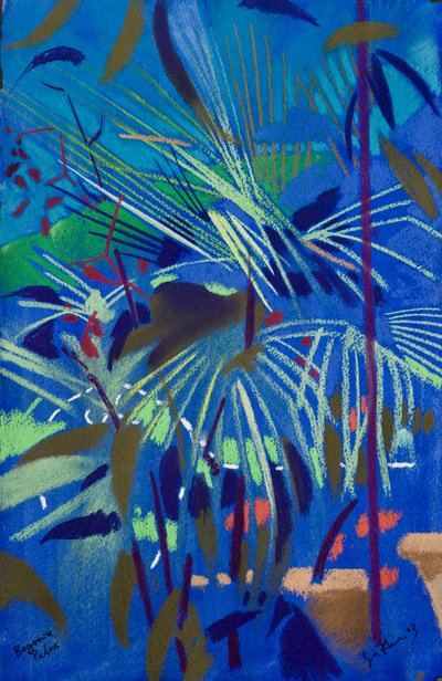 Begonienpalme von Simon Fletcher